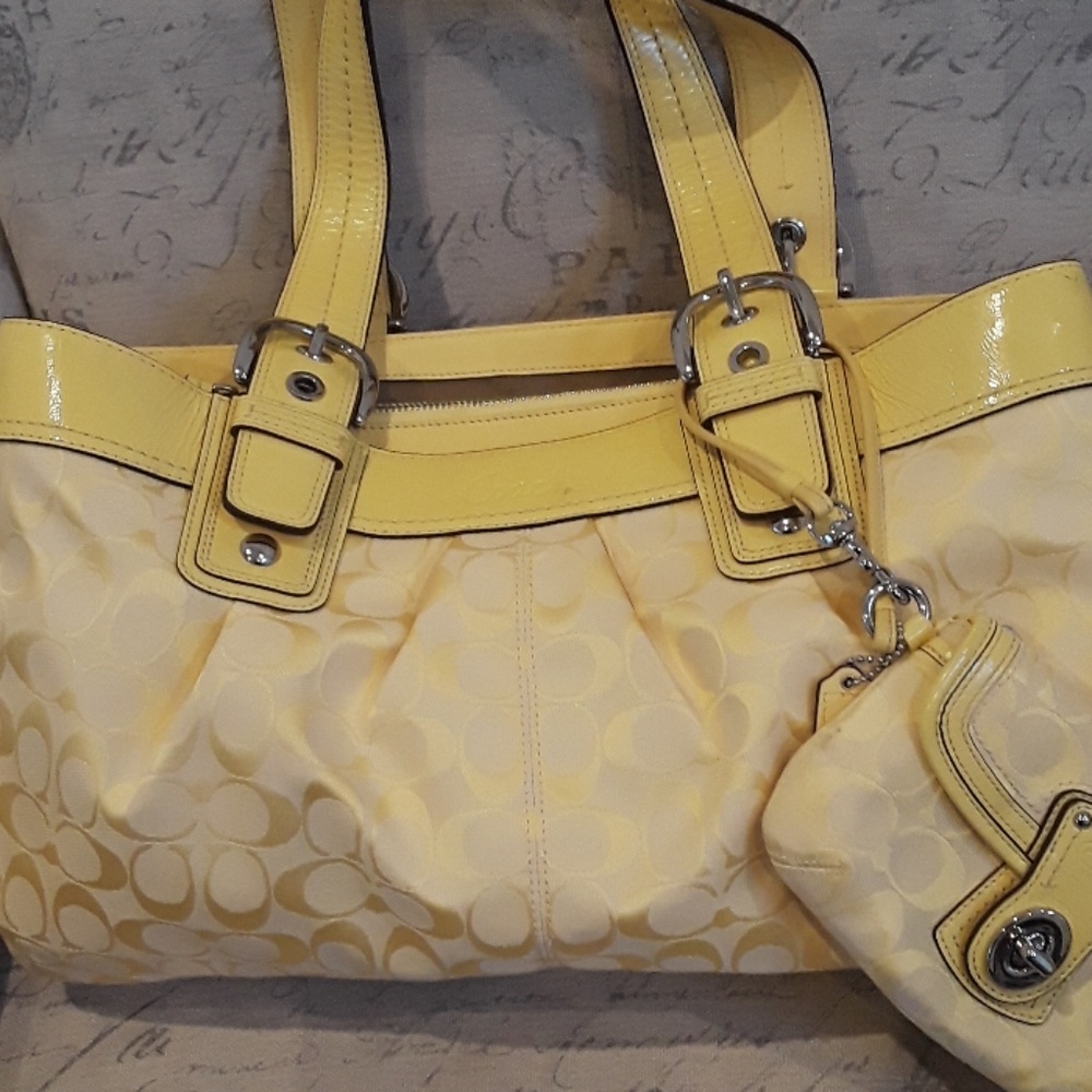 Coach bag